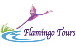 Flamingolanka