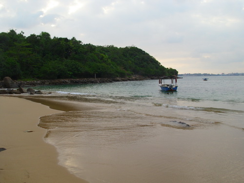 Whale__Watching_March_2012_007
