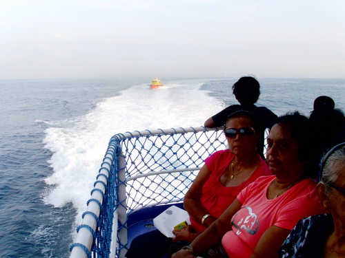 Whale__Watching_March_2012_017
